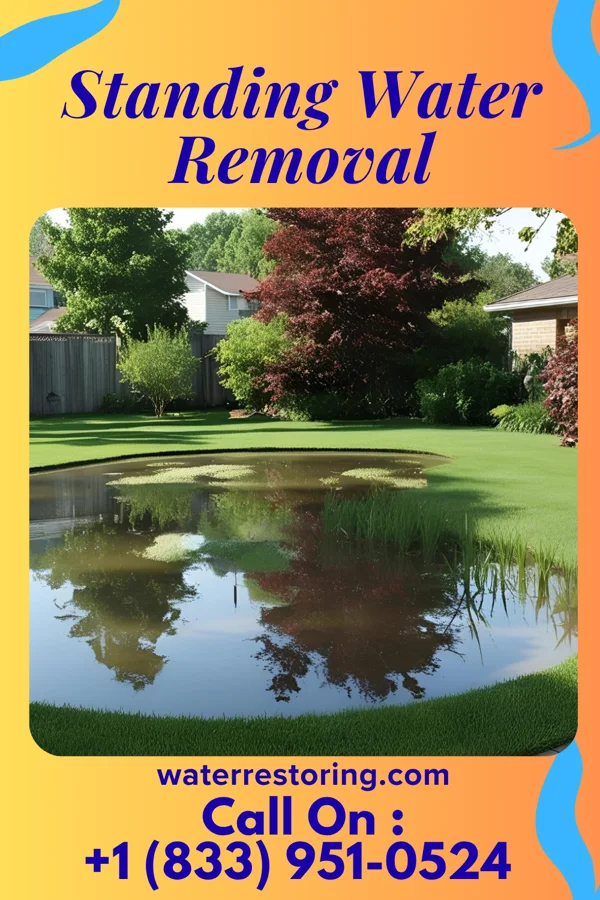 Standing Water Removal in Thayer, KS